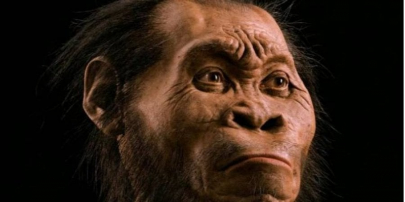 Доісторичний родич людей. Палеонтологи виявили можливо найдавніше поховання у світі