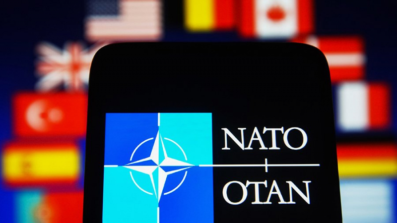 Глава МИД Финляндии Хаависто назвал причину стремления страны в НАТО